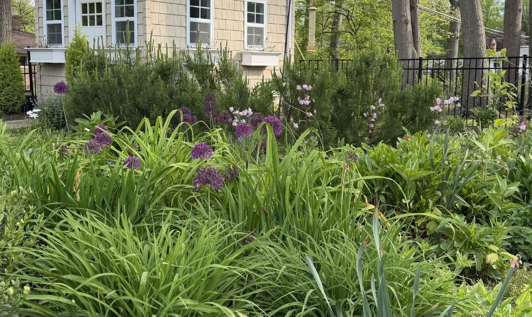 Why Your Ohio Garden Needs Early-Blooming Natives