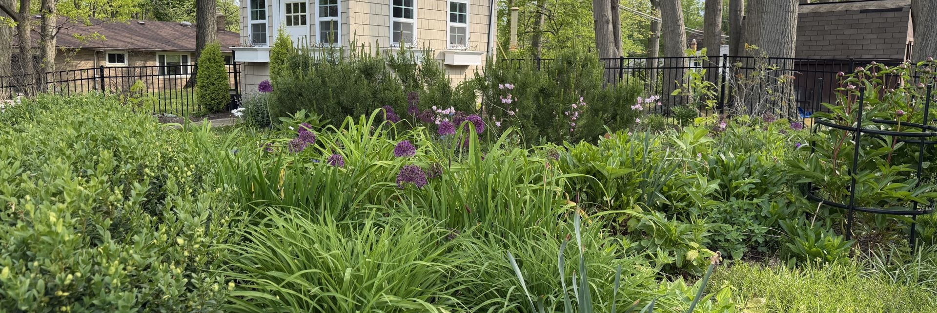 Why Your Ohio Garden Needs Early-Blooming Natives