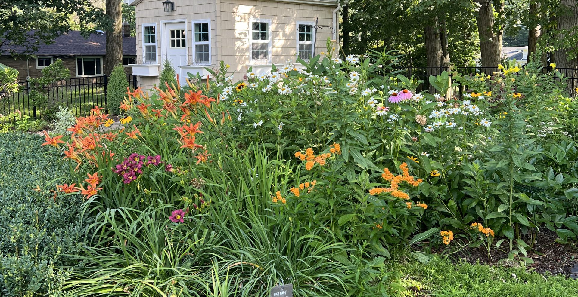 Beyond the Name: Weaving Summer Natives Into a Clean Landscape