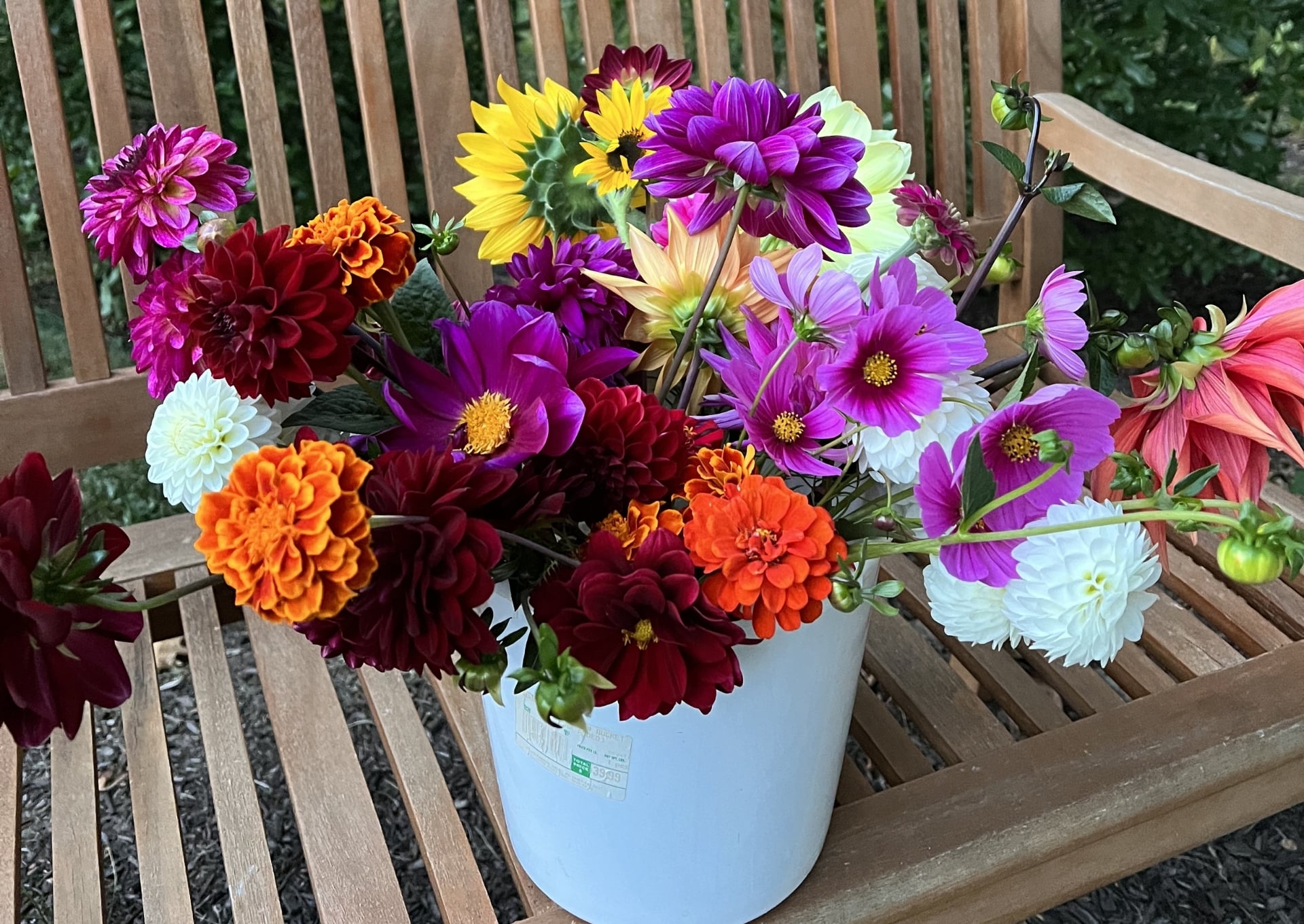 Cut Flower Garden Kit (Live Plants) - Image 5