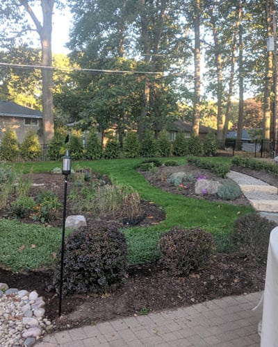 First-year-garden1